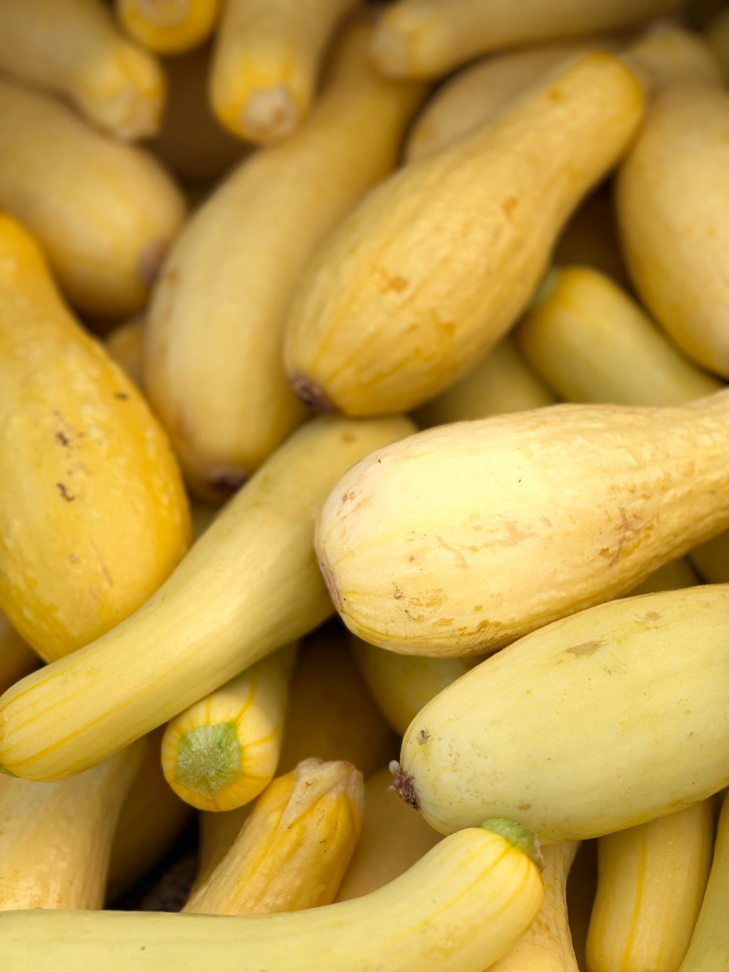 Why US Food Culture Is&nbsp;Backward